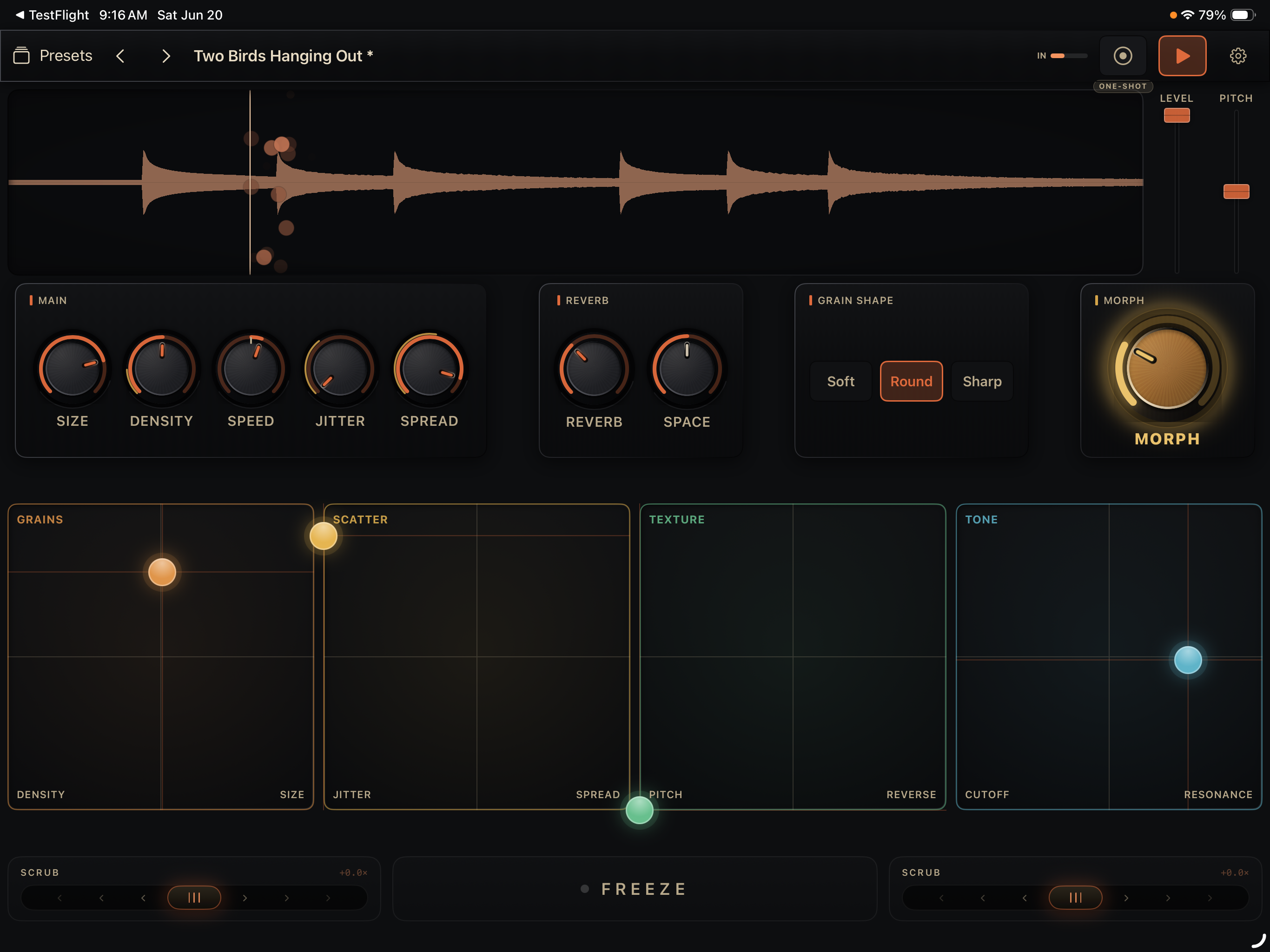 Grainsmith Field on iPad: top bar with Presets, transport and gear; a waveform with the amber grain cloud; the Main, Reverb, Grain Shape and Morph panels; the four XY pads; and the scrub deck with the Freeze button.