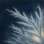 Frost thumbnail: pale ice-needle patterns on cold blue-gray.